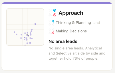 Approach dimension - Thinking and Planning and Making Decisions