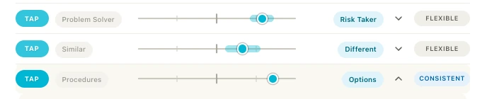 The three Thinking and Planning preference pairs from a myMAP: Problem Solver to Risk Taker, Similar to Different, Procedures to Options