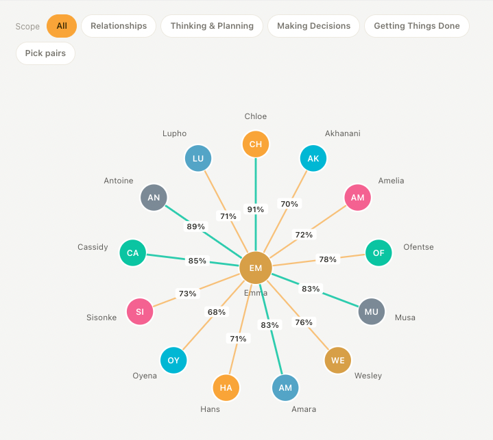 A Sariio circleMAP showing how one team member's preferences match each colleague, with the member at the centre